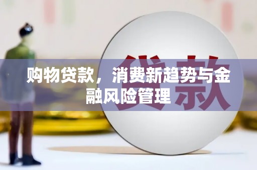 瓯海购物贷款，消费新趋势与金融风险管理