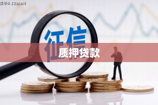 瓯海质押贷款