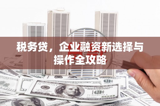 瓯海税务贷，企业融资新选择与操作全攻略