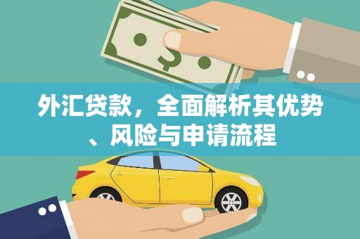 瓯海外汇贷款，全面解析其优势、风险与申请流程