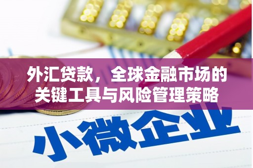 瓯海外汇贷款，全球金融市场的关键工具与风险管理策略