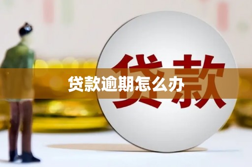 瓯海贷款逾期怎么办