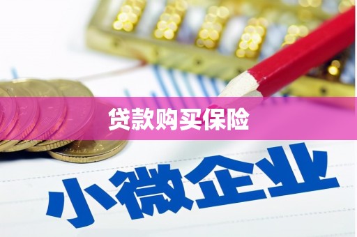 瓯海贷款购买保险
