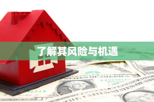 瓯海了解其风险与机遇
