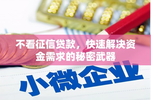 瓯海不看征信贷款，快速解决资金需求的秘密武器