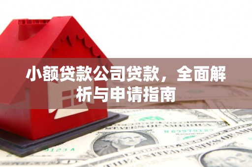 瓯海小额贷款公司贷款，全面解析与申请指南