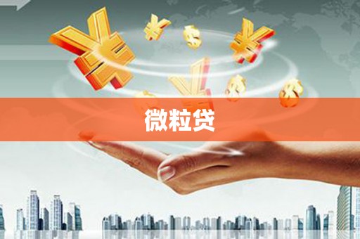 瓯海微粒贷