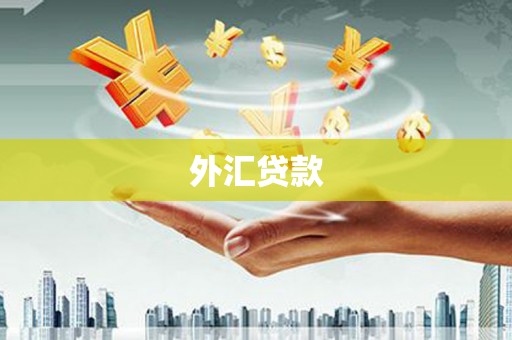 瓯海外汇贷款