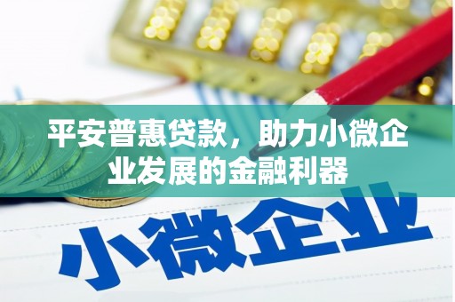 瓯海平安普惠贷款，助力小微企业发展的金融利器