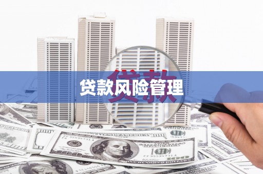 瓯海贷款风险管理