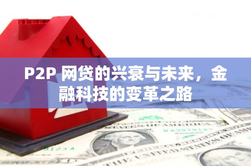 瓯海P2P 网贷的兴衰与未来，金融科技的变革之路