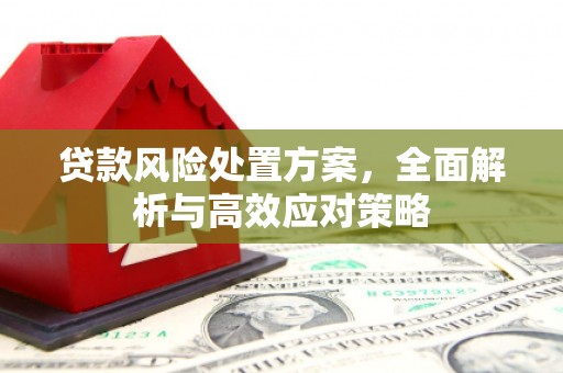 瓯海贷款风险处置方案，全面解析与高效应对策略