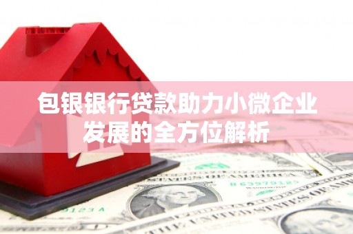 瓯海包银银行贷款助力小微企业发展的全方位解析