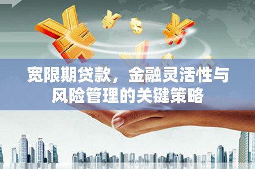 瓯海宽限期贷款，金融灵活性与风险管理的关键策略