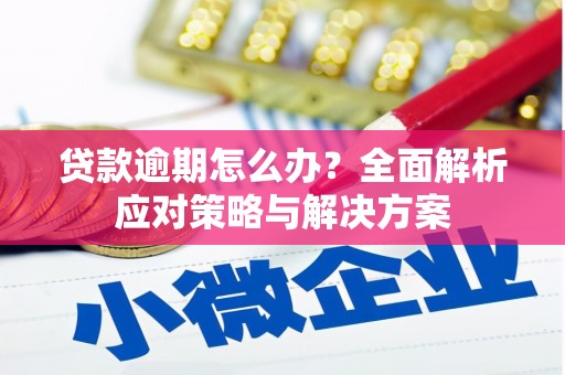 瓯海贷款逾期怎么办？全面解析应对策略与解决方案
