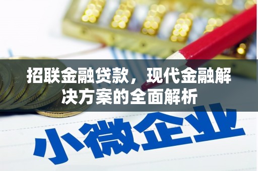 瓯海招联金融贷款，现代金融解决方案的全面解析