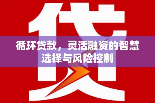瓯海循环贷款，灵活融资的智慧选择与风险控制