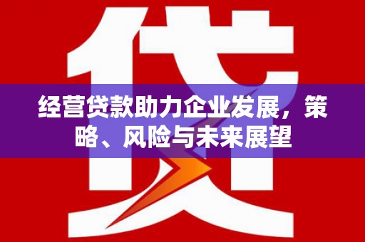 瓯海经营贷款助力企业发展，策略、风险与未来展望