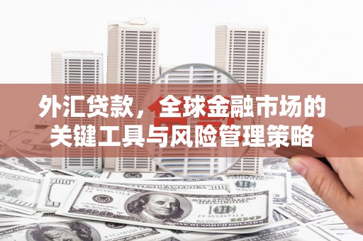 瓯海外汇贷款，全球金融市场的关键工具与风险管理策略