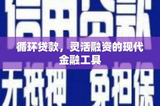 瓯海循环贷款，灵活融资的现代金融工具