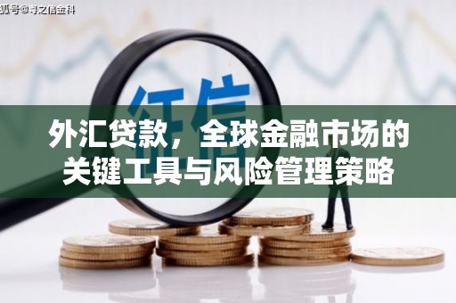 瓯海外汇贷款，全球金融市场的关键工具与风险管理策略