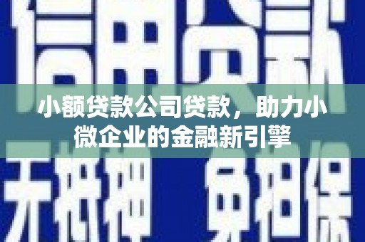 瓯海小额贷款公司贷款，助力小微企业的金融新引擎