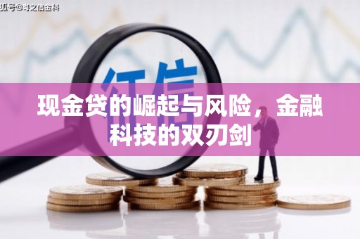 瓯海现金贷的崛起与风险，金融科技的双刃剑