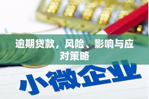 瓯海逾期贷款，风险、影响与应对策略