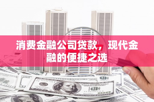 瓯海消费金融公司贷款，现代金融的便捷之选