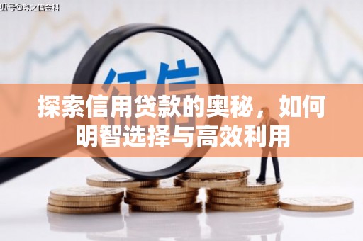 瓯海探索信用贷款的奥秘，如何明智选择与高效利用
