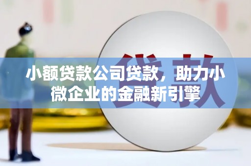 瓯海小额贷款公司贷款，助力小微企业的金融新引擎