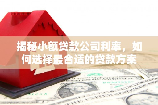 瓯海揭秘小额贷款公司利率，如何选择最合适的贷款方案