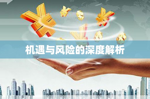 瓯海机遇与风险的深度解析
