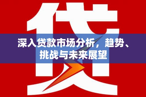 瓯海深入贷款市场分析，趋势、挑战与未来展望