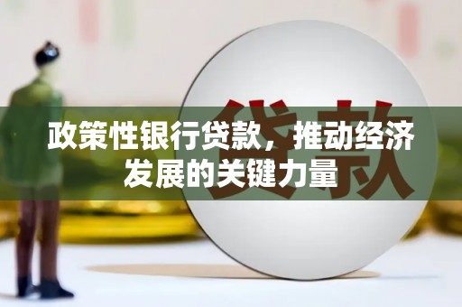 瓯海政策性银行贷款，推动经济发展的关键力量