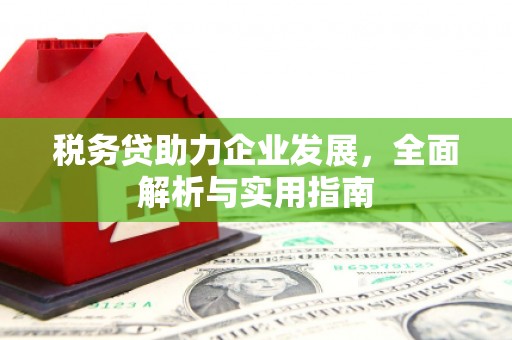 瓯海税务贷助力企业发展，全面解析与实用指南