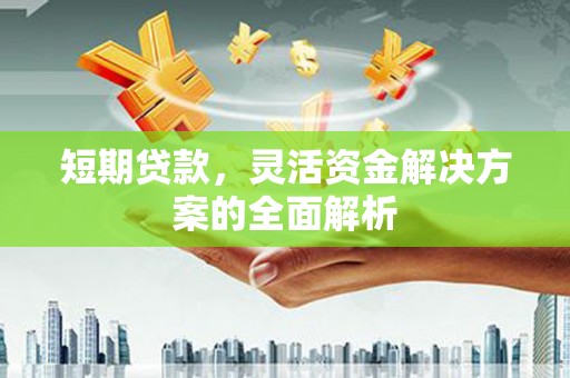 瓯海短期贷款，灵活资金解决方案的全面解析
