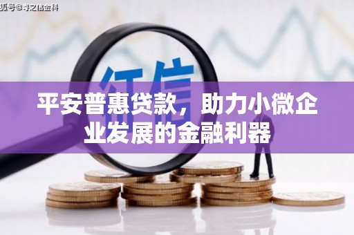 瓯海平安普惠贷款，助力小微企业发展的金融利器