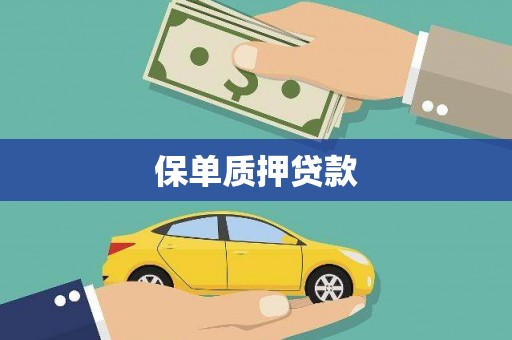 瓯海保单质押贷款