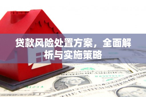 瓯海贷款风险处置方案，全面解析与实施策略
