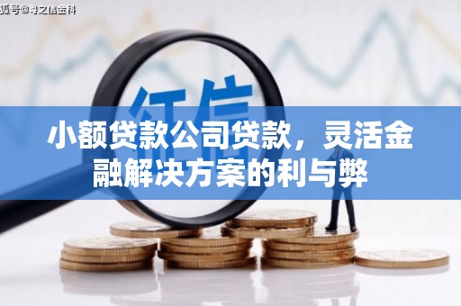 瓯海小额贷款公司贷款，灵活金融解决方案的利与弊